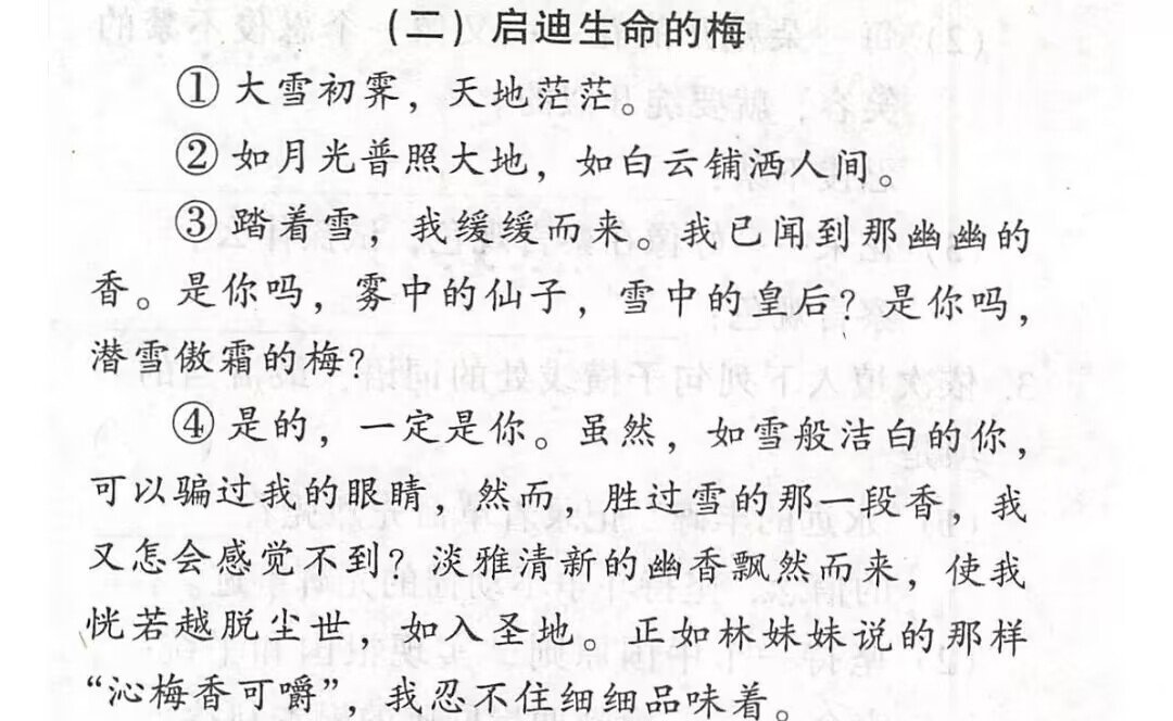 启迪生命的梅是用第几人称写的