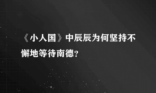 《小人国》中辰辰为何坚持不懈地等待南德？