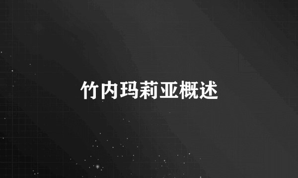 竹内玛莉亚概述