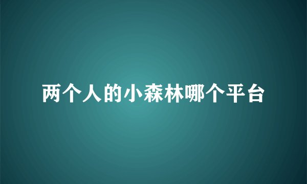 两个人的小森林哪个平台