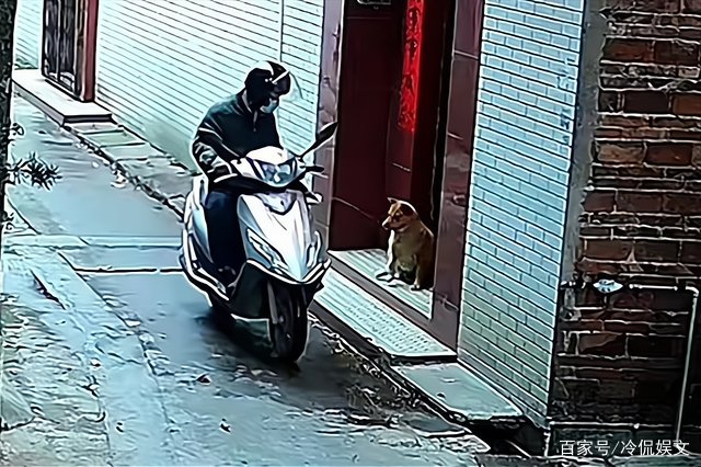 视频曝男子喷不明液体后狗狗迅速死亡,他喷射的液体究竟是什么?