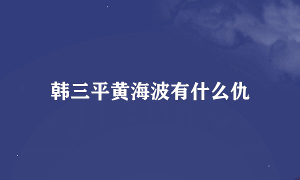 韩三平黄海波有什么仇