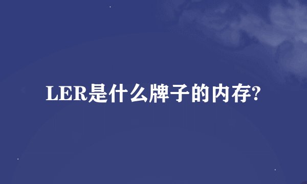 LER是什么牌子的内存?