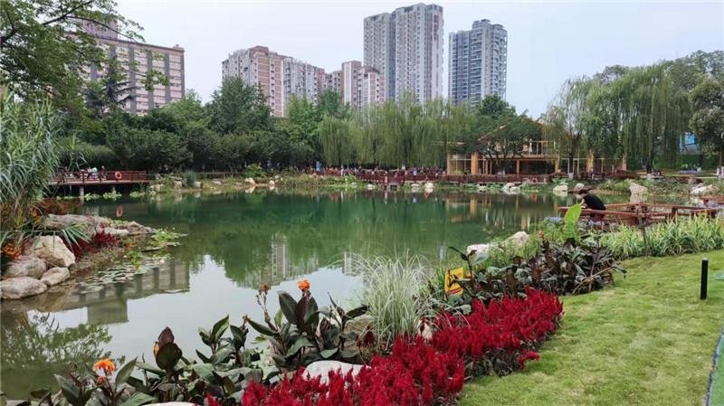 主题公园和普通的公园有什么区别？