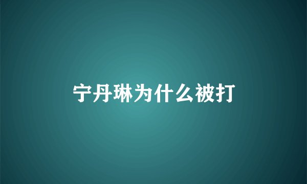 宁丹琳为什么被打