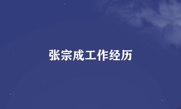 张宗成工作经历