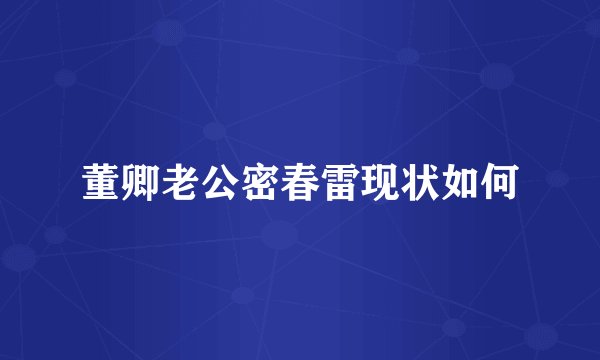 董卿老公密春雷现状如何