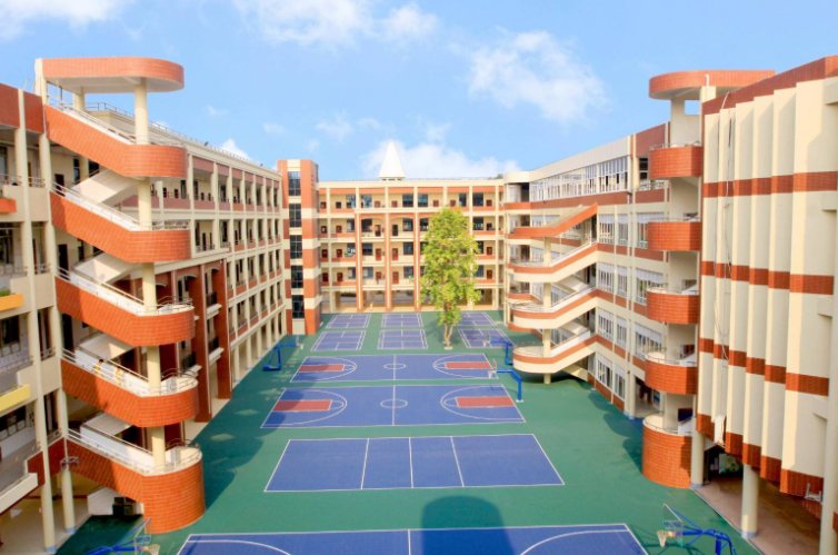 学校的基本权利是什么
