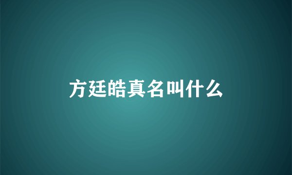 方廷皓真名叫什么
