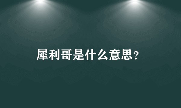 犀利哥是什么意思？