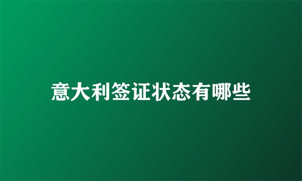意大利签证状态有哪些