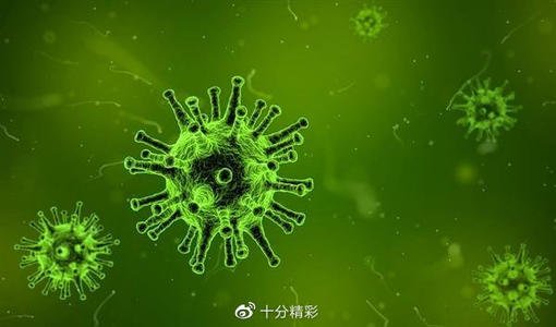 世卫说可能永远不会发现新冠零号病例,零号病例究竟是什么?