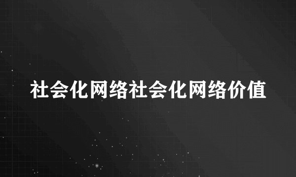 社会化网络社会化网络价值