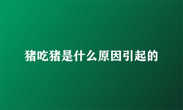 猪吃猪是什么原因引起的