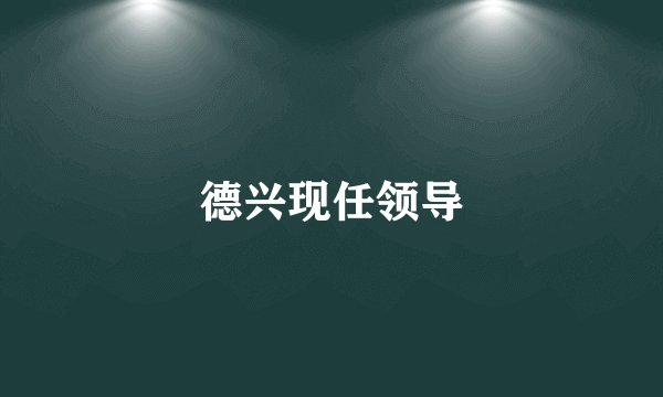 德兴现任领导