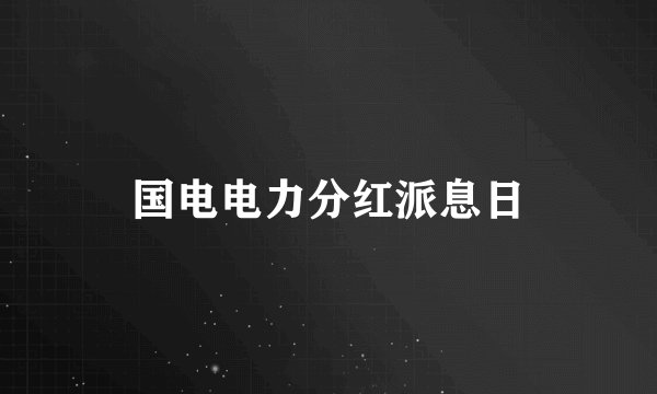 国电电力分红派息日