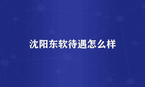 沈阳东软待遇怎么样