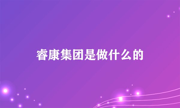 睿康集团是做什么的