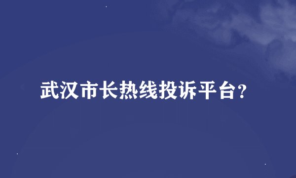 武汉市长热线投诉平台？