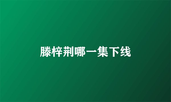 滕梓荆哪一集下线