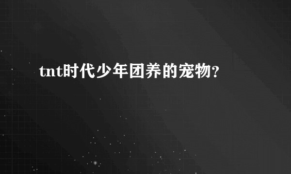tnt时代少年团养的宠物？