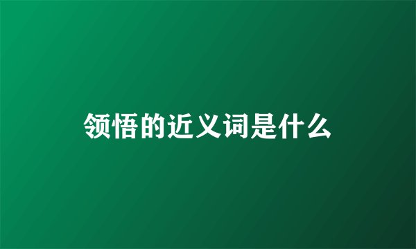 领悟的近义词是什么