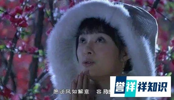 人人都是“甄学家”？盘点甄嬛传里那些绝美古诗词