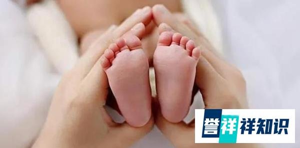 专家称龙年或出现生育小高峰，2024年的生育率有望提升！