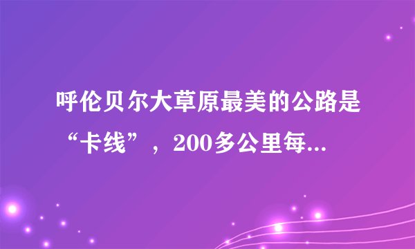 呼伦贝尔大草原最美的公路是“卡线”，200多公里每一步都很惊艳