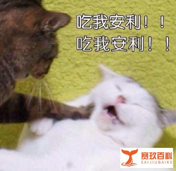 豆瓣9.2!登顶全球电视剧榜首!今年最强动画是游戏公司做的!