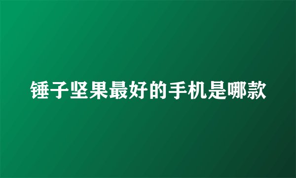 锤子坚果最好的手机是哪款
