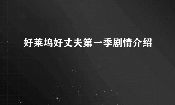 好莱坞好丈夫第一季剧情介绍