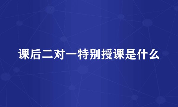 课后二对一特别授课是什么