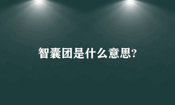 智囊团是什么意思?