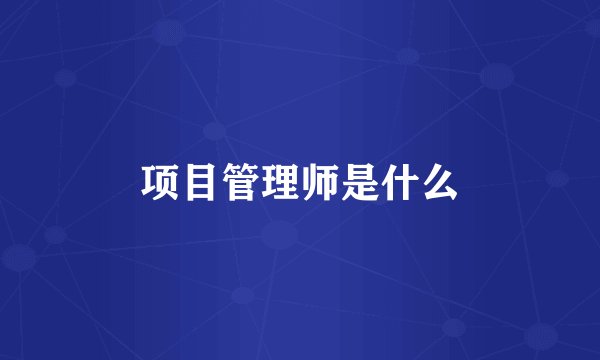 项目管理师是什么