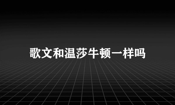 歌文和温莎牛顿一样吗