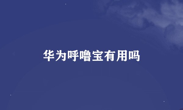 华为呼噜宝有用吗