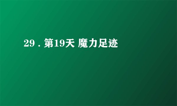 29 . 第19天 魔力足迹