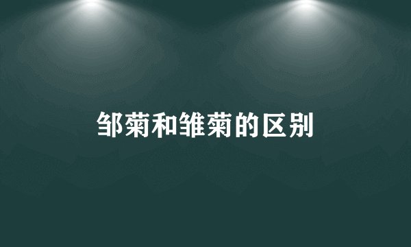 邹菊和雏菊的区别