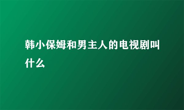 韩小保姆和男主人的电视剧叫什么