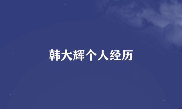 韩大辉个人经历