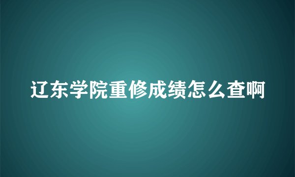 辽东学院重修成绩怎么查啊