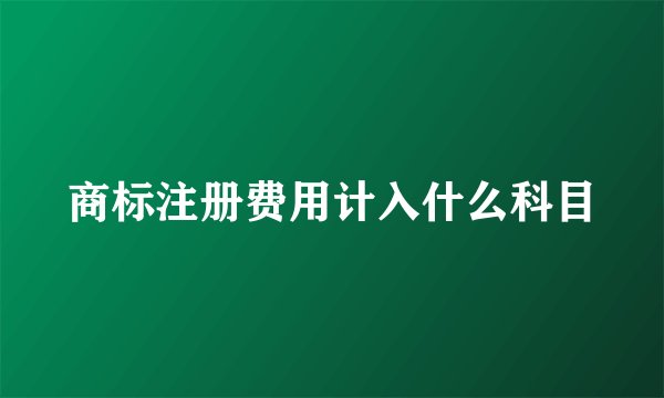商标注册费用计入什么科目