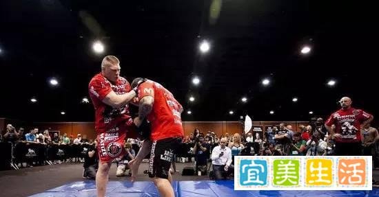 布洛克-莱斯纳(Brock Lesnar)将何去何从？