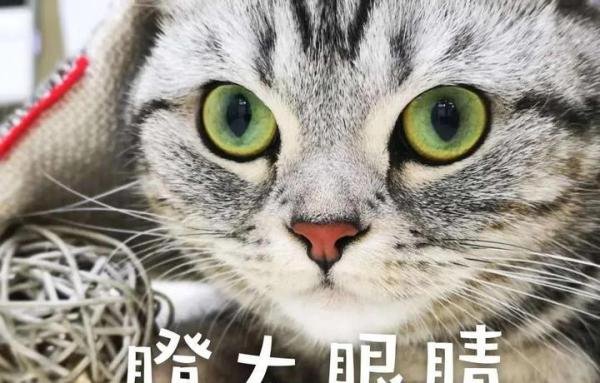 100多万的房子被外甥卖30万？这位舅舅把外甥告上了法庭......