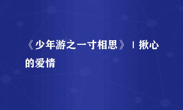 《少年游之一寸相思》|揪心的爱情