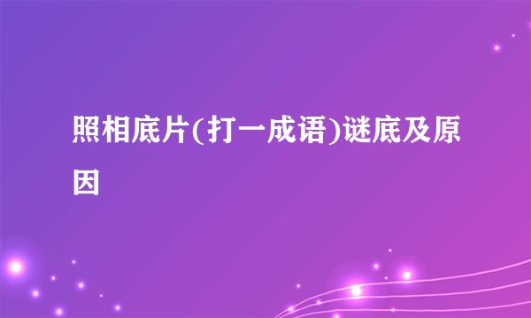 照相底片(打一成语)谜底及原因