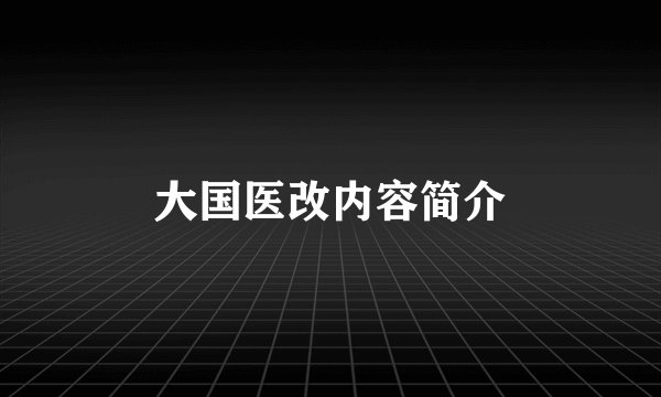 大国医改内容简介