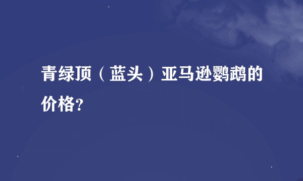 青绿顶（蓝头）亚马逊鹦鹉的价格？
