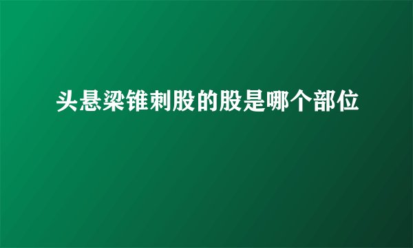 头悬梁锥刺股的股是哪个部位